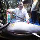 Kiyoshi Kimura at the Sushizanmai location near the Tsukiji fish market in Tokyo with a massive fish he purchased in 2018 (his 2019 purchase can be seen below).